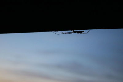 Silhouette spider on roof against sky during sunset