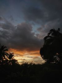 Silhouette palm trees against dramatic sky during sunset