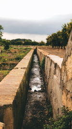 Empty footpath amidst trees against sky