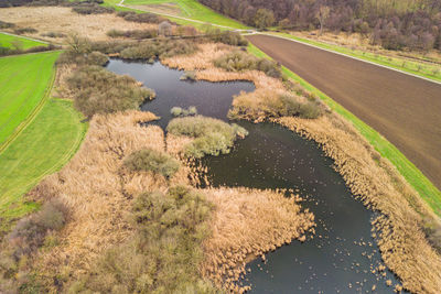 Wetland with birds, reeds and shrubs next to fields in rural germany