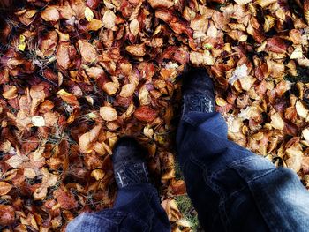 Low section of person standing on ground