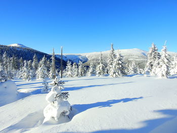 Scenic view of snow covered mountains against blue sky