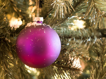 Close-up of christmas decoration hanging on tree