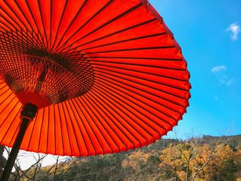 Close-up view of red parasol