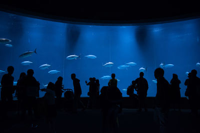 People at aquarium