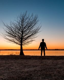 Silhouette man standing by bare tree against sea during sunset