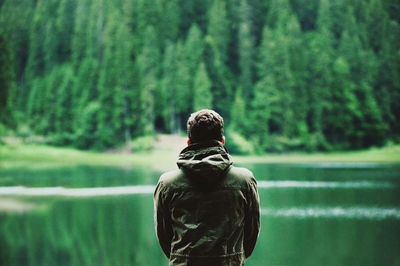 Rear view of man looking at waterfall