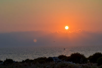 Scenic view of sea against orange sky