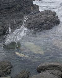 Waves splashing on rocks