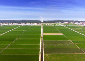 Beautiful aerial view of green paddy field