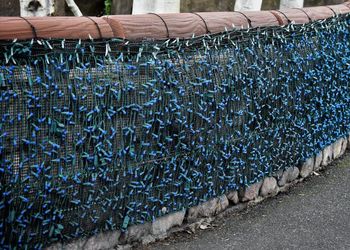 Christmas lights and net on wall