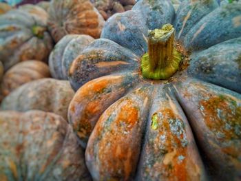 Full frame shot of pumpkins