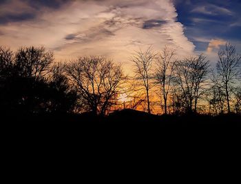 Silhouette of trees at sunset