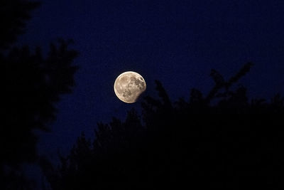 Low angle view of moon in sky at night