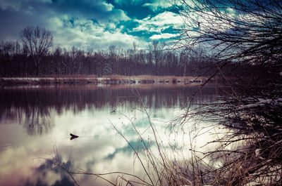 Birds flying over lake against sky