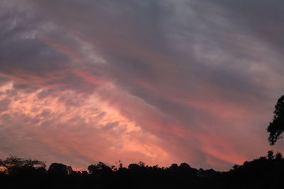 Low angle view of silhouette trees against dramatic sky