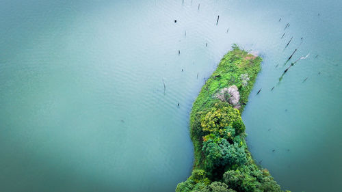 High angle view of sea