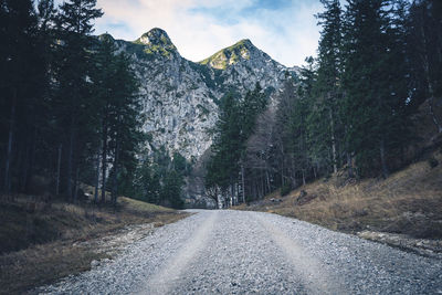 Road amidst trees in forest against sky