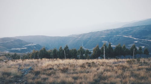 Panoramic view of landscape against clear sky