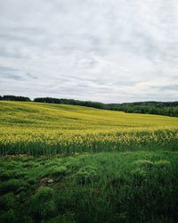 Scenic view of field against cloudy sky