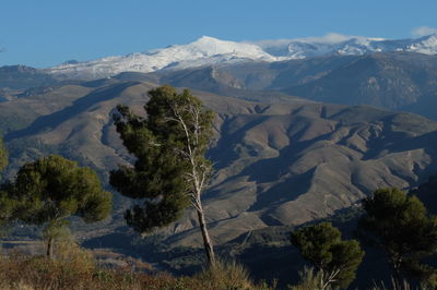 Scenic view of tree mountains against sky