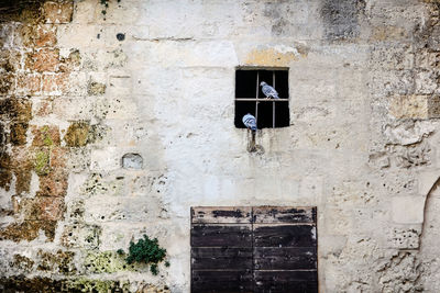 Low angle view of clothes hanging on wall