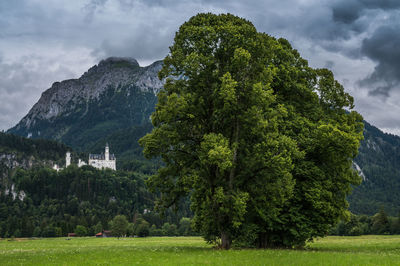 Famous neuschwanstein castle at schwangau, bayern, germany