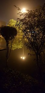 Illuminated street light against sky at night