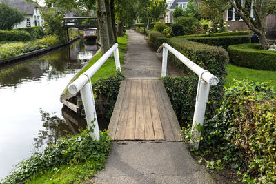 Footpath amidst plants in lake