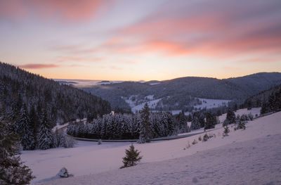 Scenic view of landscape against sky during sunset