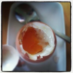 Close-up of served food