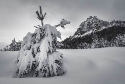 Panoramic view of snow covered trees against sky