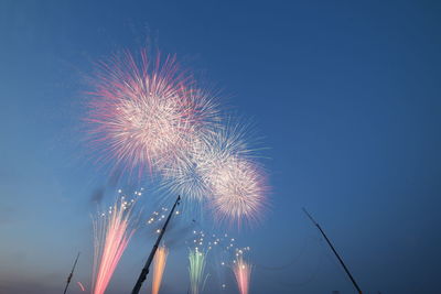 Low angle view of firework display at night