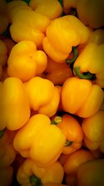 Full frame shot of food for sale