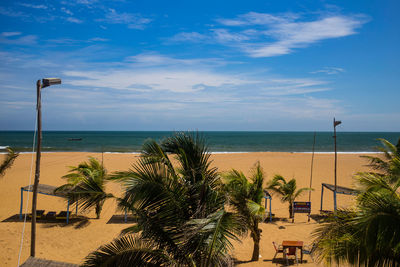 Palm trees on beach against sky