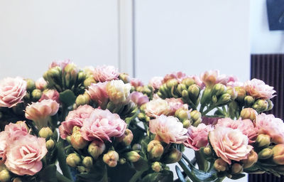 Close-up of pink roses