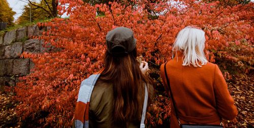 Rear view of woman standing against trees during autumn