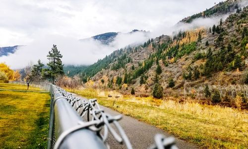 Scenic view of road amidst trees against sky