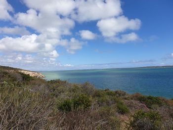 Scenic view of sea against sky