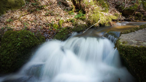 Stream flowing through rocks in forest