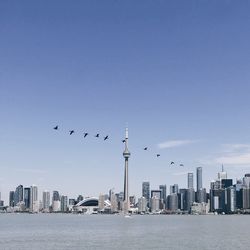 Birds flying by cn tower against sky