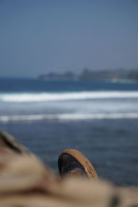 Close-up of sea shore against sky
