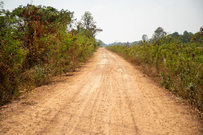 Dirt road amidst trees against sky