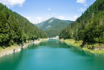 Scenic view of lake by trees against sky