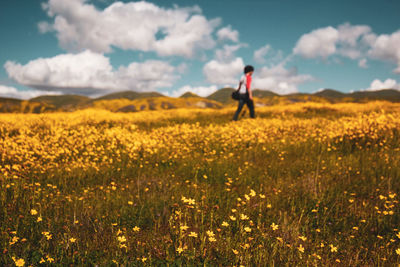 Man walking on land by yellow flowering plants against sky