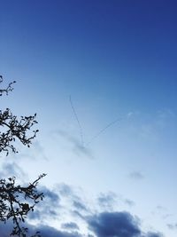 Low angle view of birds flying against blue sky