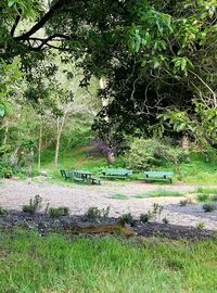 Scenic view of lake in forest