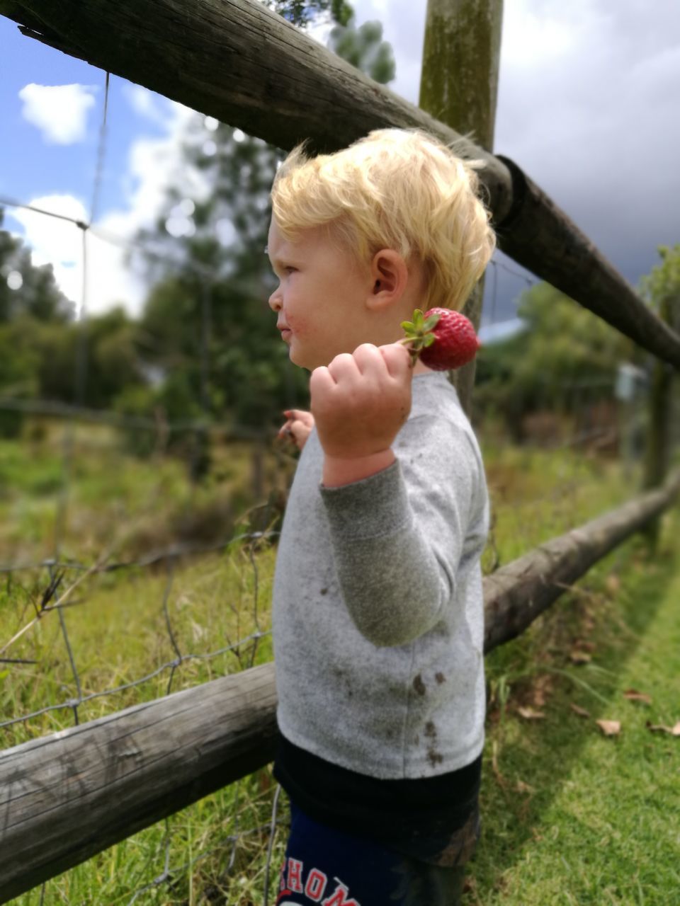 childhood, real people, one person, casual clothing, boys, day, three quarter length, lifestyles, leisure activity, outdoors, elementary age, blond hair, focus on foreground, grass, standing, tree, cute, playing, nature, sky, close-up