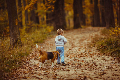 Rear view of dog walking on street in forest