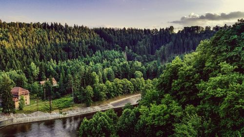 Scenic view of landscape